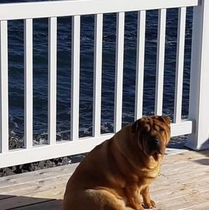 Meet your Posher, Mannon